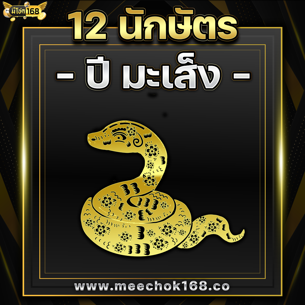 ดูดวง 12 นักษัตร ( ปีมะเส็ง )